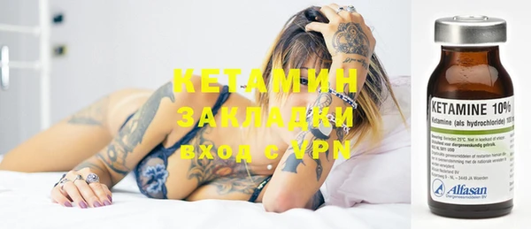 трава Аркадак