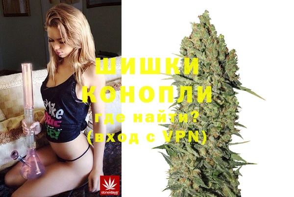 винт Фёдоровский