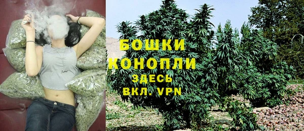 трава Аркадак