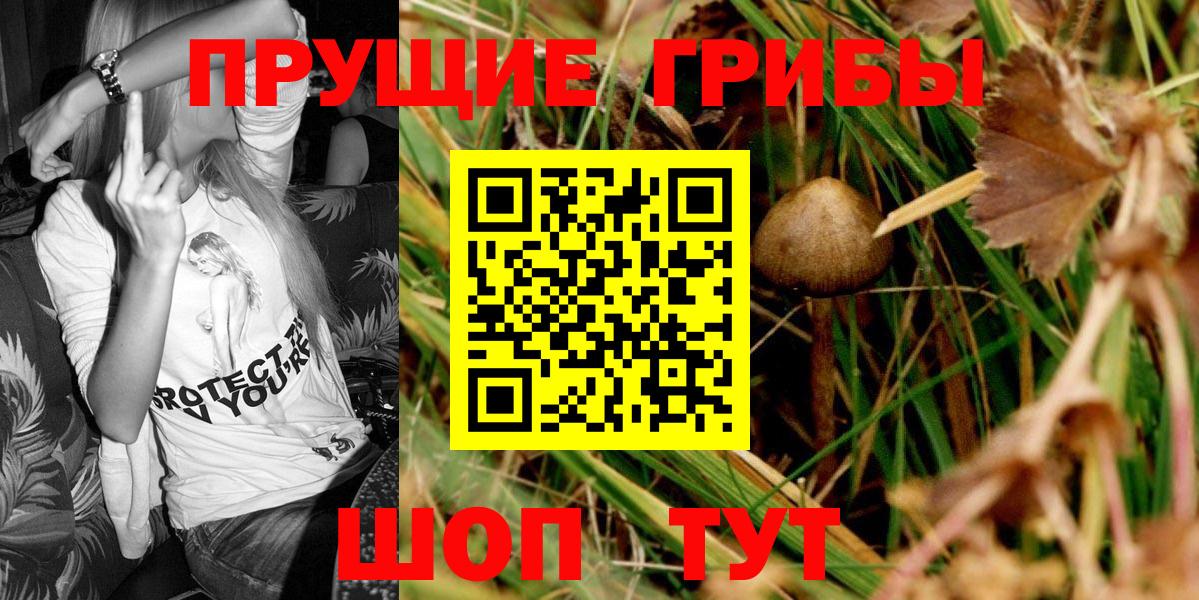Галлюциногенные грибы Cubensis  Галлюциногенные грибы мухоморы  Усинск  Вход с VPN 